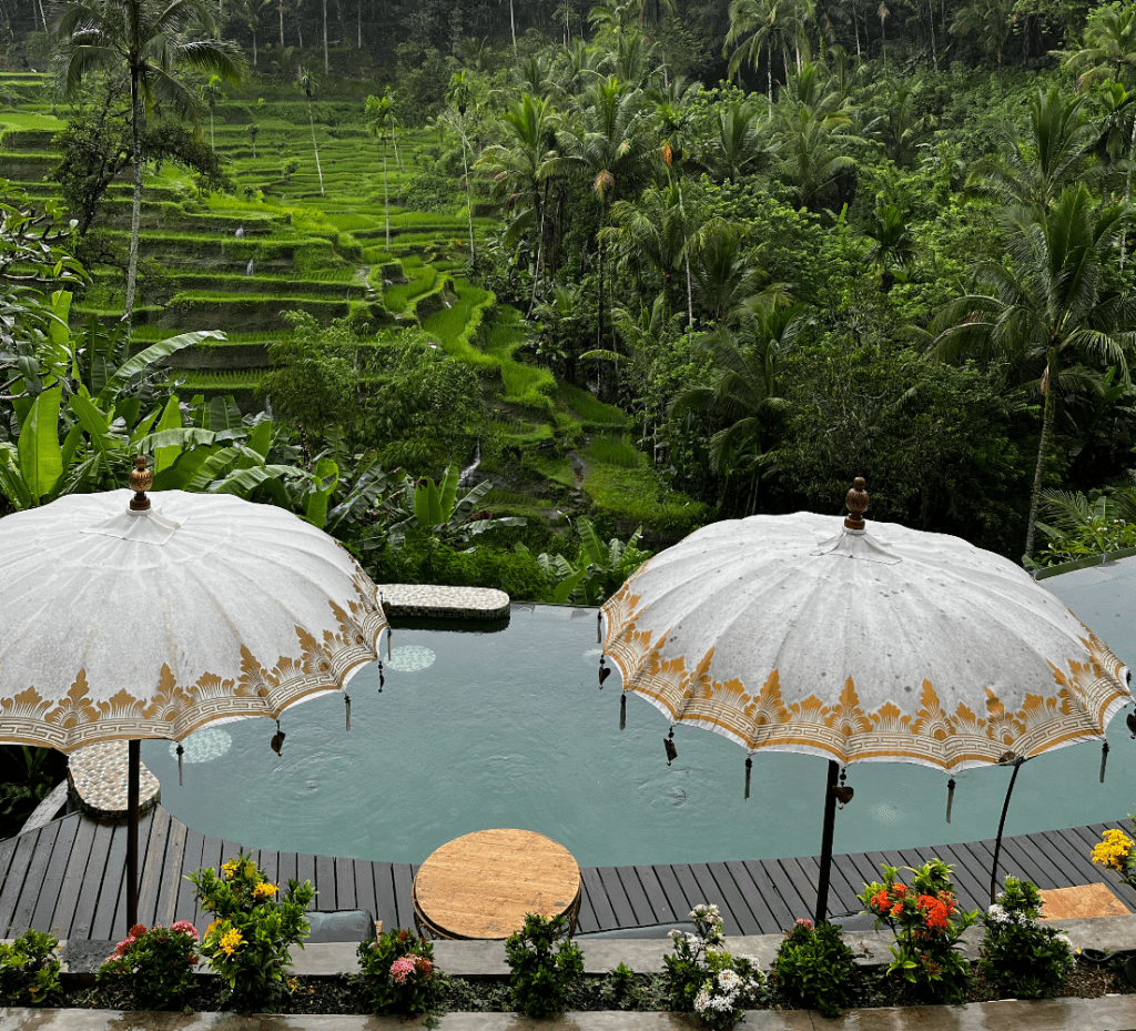 Bali seyahat rehberi ubud