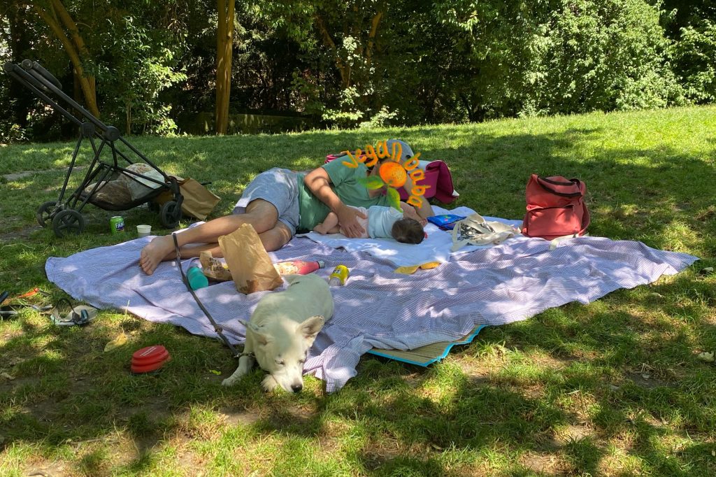 Tanışalım mı?: Ben Vegan&nbsp;Baba