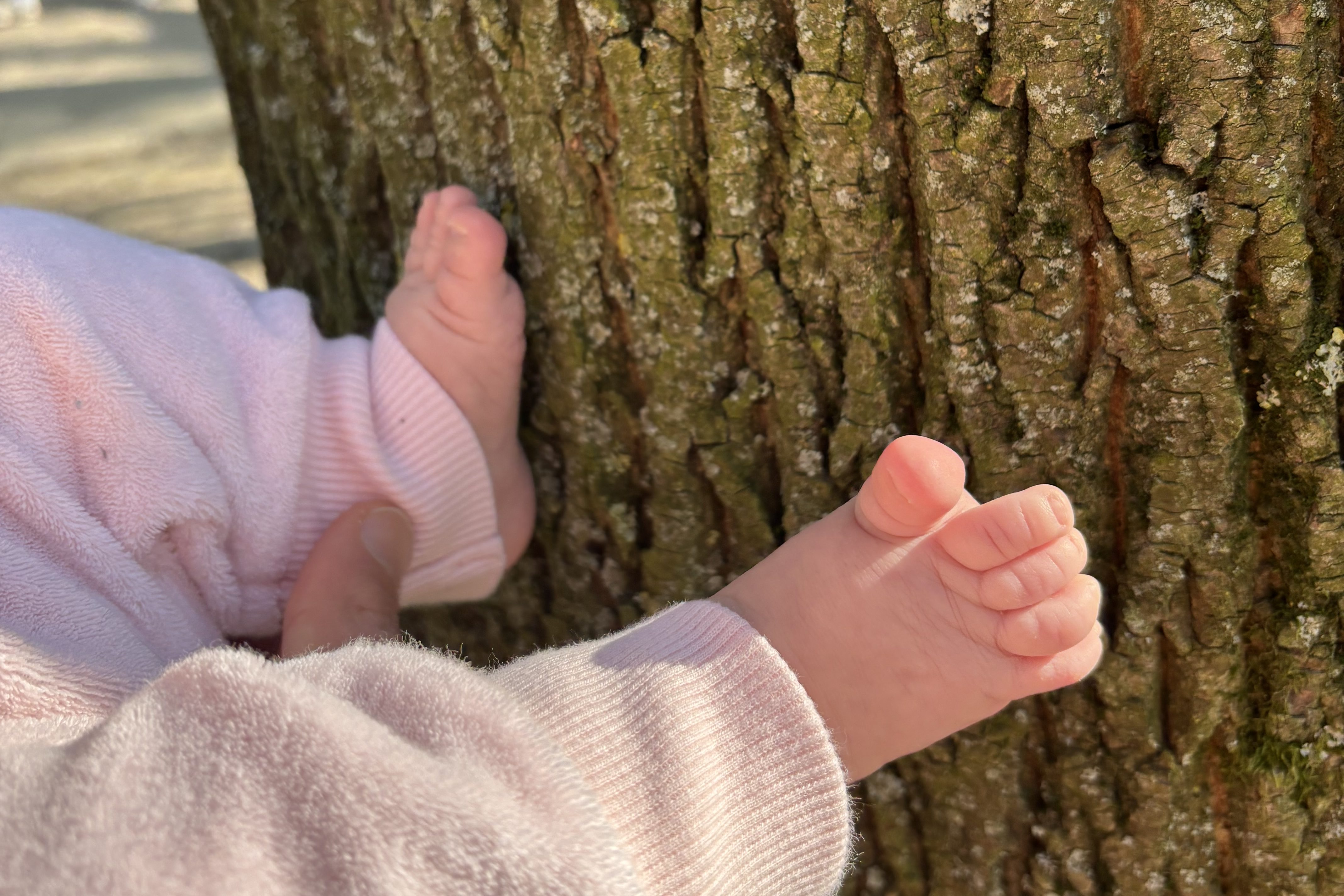 Vegan ebeveynlik deneyimi