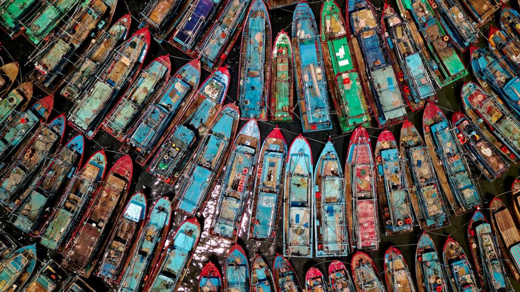 Balıkçılığın Görünmeyen Yüzü: Ağların İçindeki Sessiz&nbsp;Çığlıklar