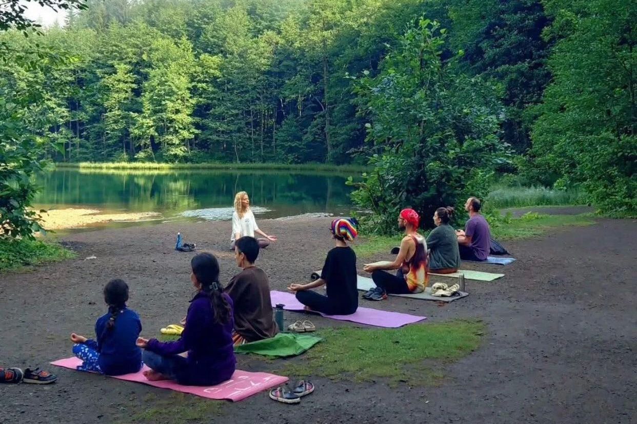 Artvin Borçka Kolektif Vegan Festivali