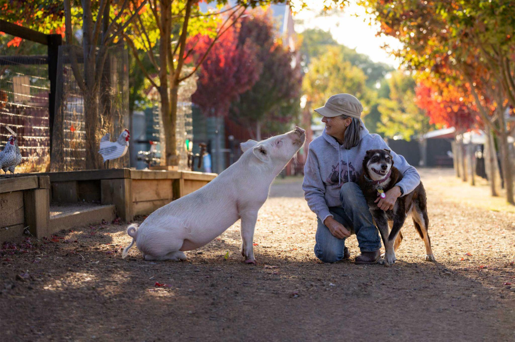 veganlık viktor frankl insanın anlam arayışı