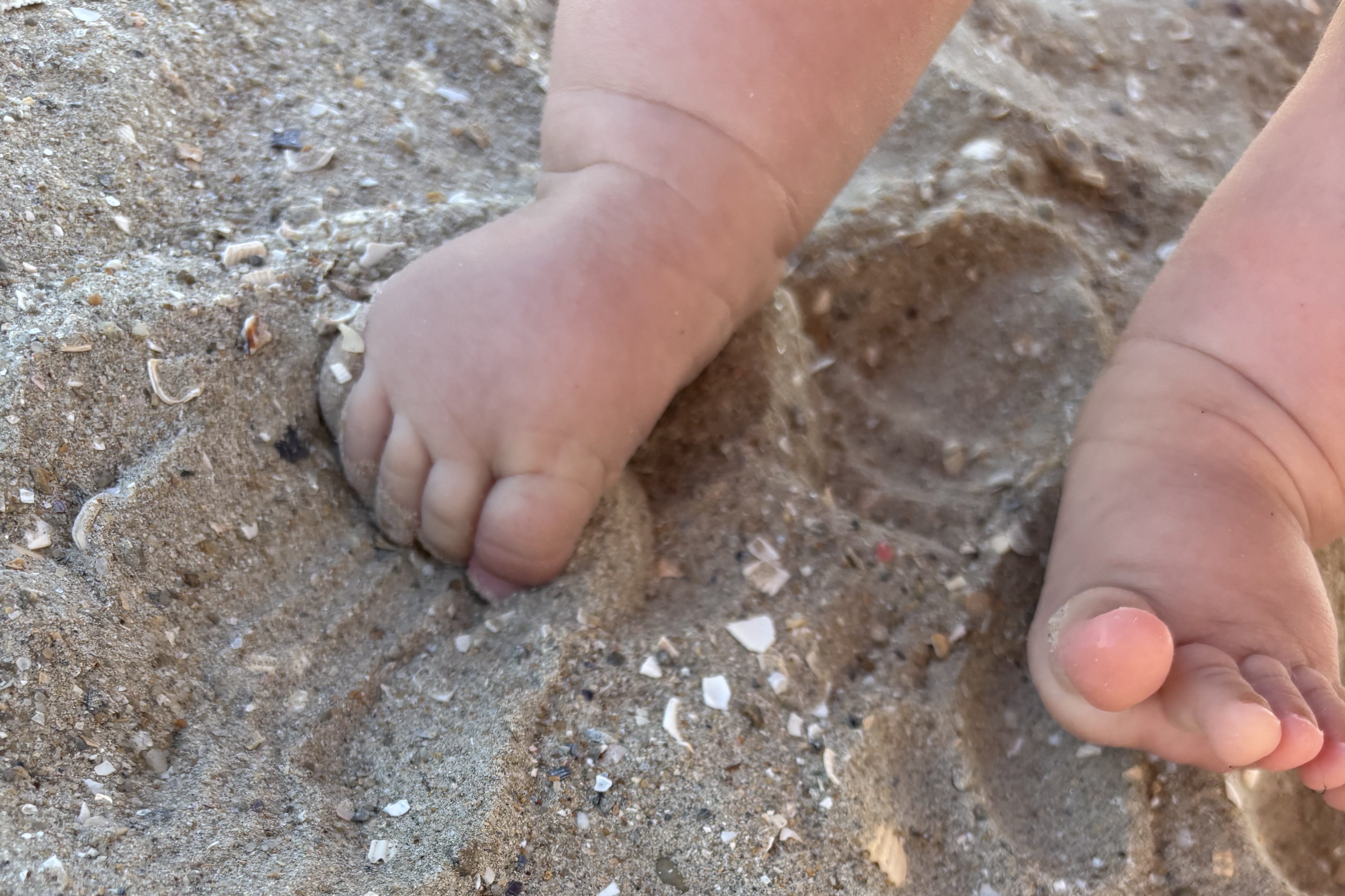 Bebekli seyahat rehberi vegan seyahat rehberi