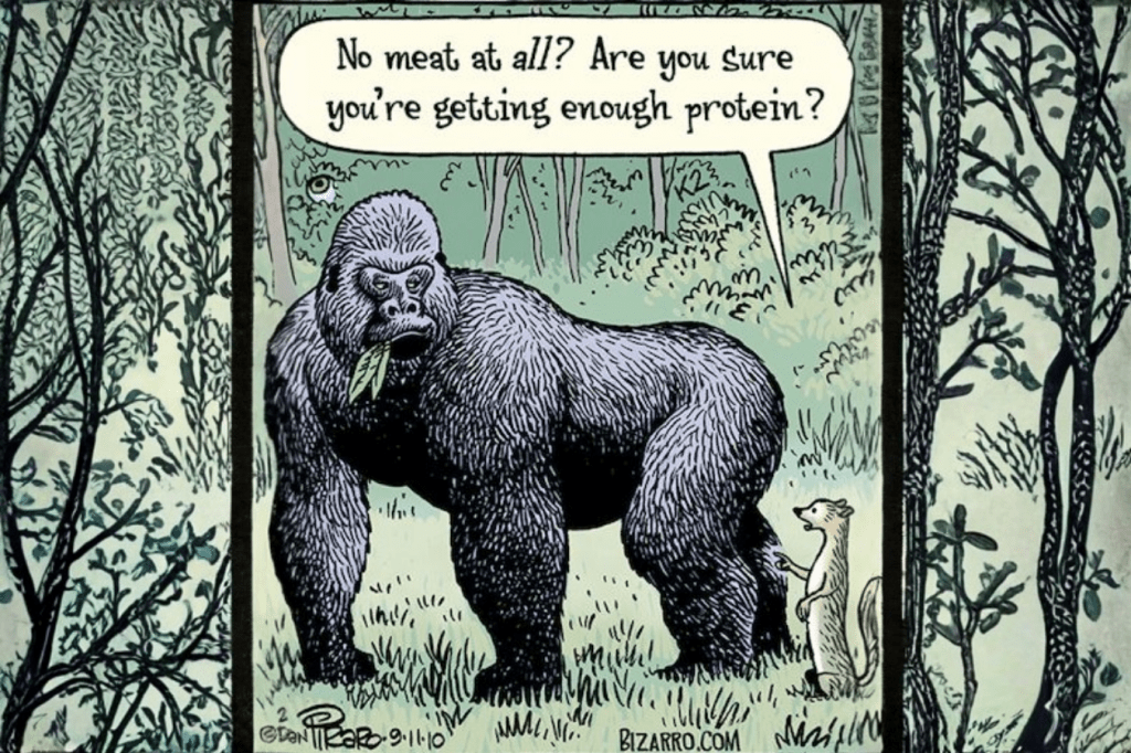 Peki Proteini Nereden&nbsp;Alıyorsunuz?