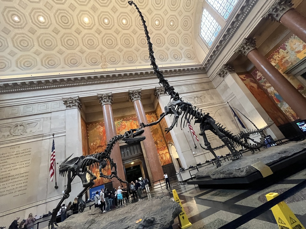 New York rehberi New York gezilecek yerler American Museum of Natural History