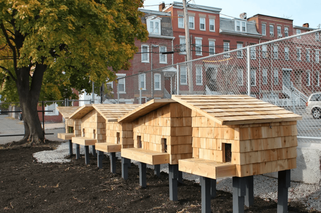 Hayvanlar için mimarlık