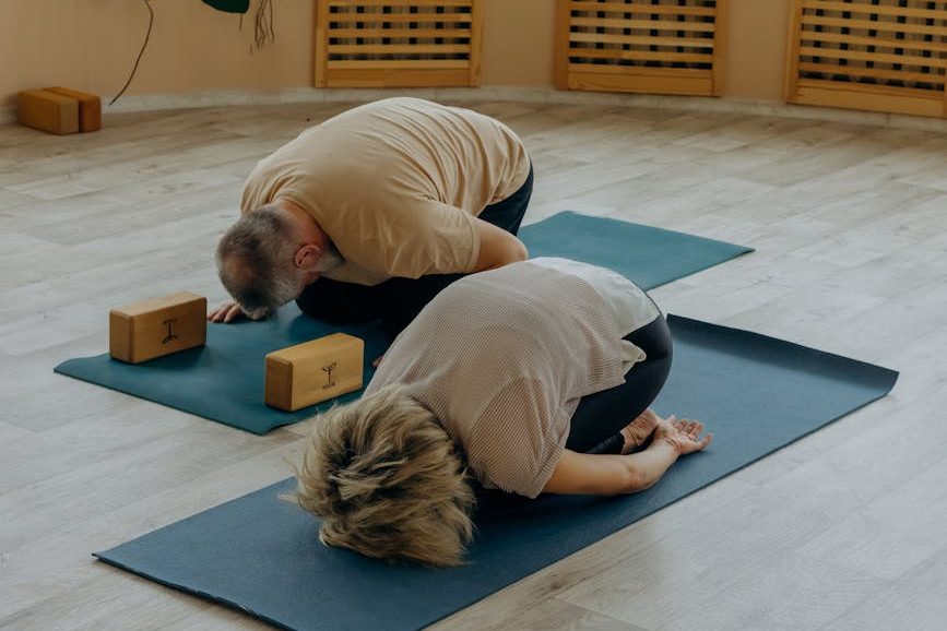 yoga felsefesi yoga ve veganlık
