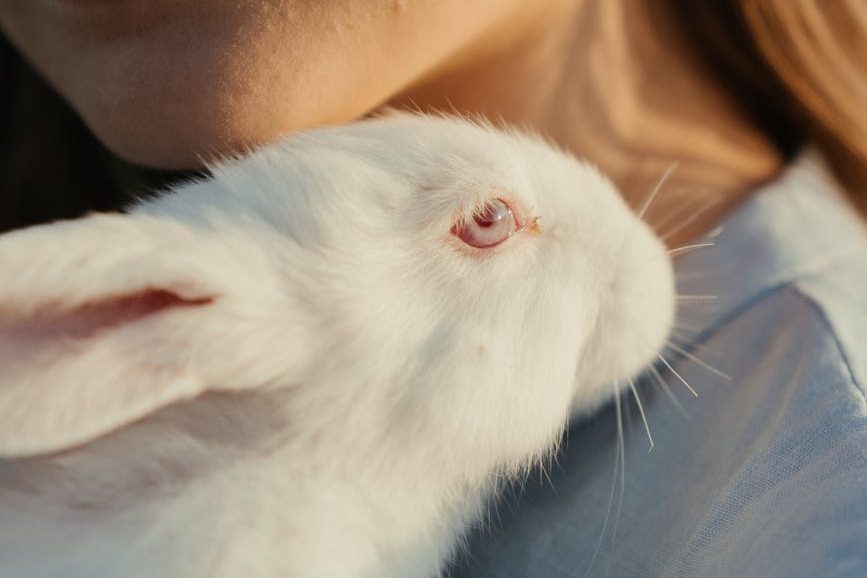 Hayvan Deneyleri Yeni İnsan Yayınevi  Yağmur Özgür Güven Dr. Oğuzcan Kınıkoğlu Deneye Hayır Derneği